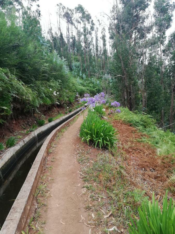 Villa Casa Bela Vista Ribeira Brava Esterno foto